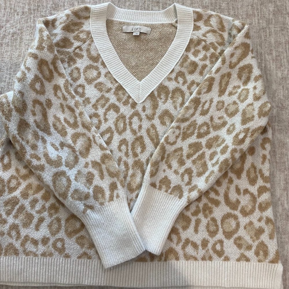 Loft oversized sweater